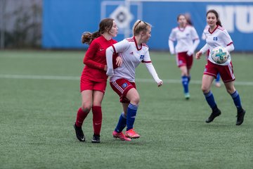 Bild 218 - wBJ Hamburger SV2 - Eimsbuettel 2 : Ergebnis: 2:1